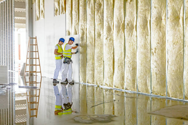 Best Wall Insulation Installation  in Miramar, FL